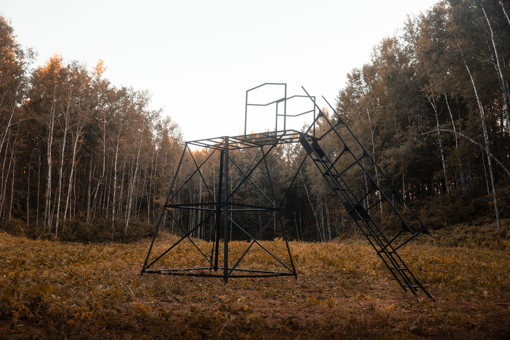 Hunt in an Elevated Deer Stand