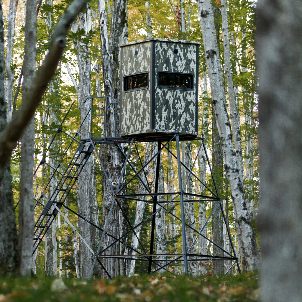 Hunt in An Elevated Deer Blind