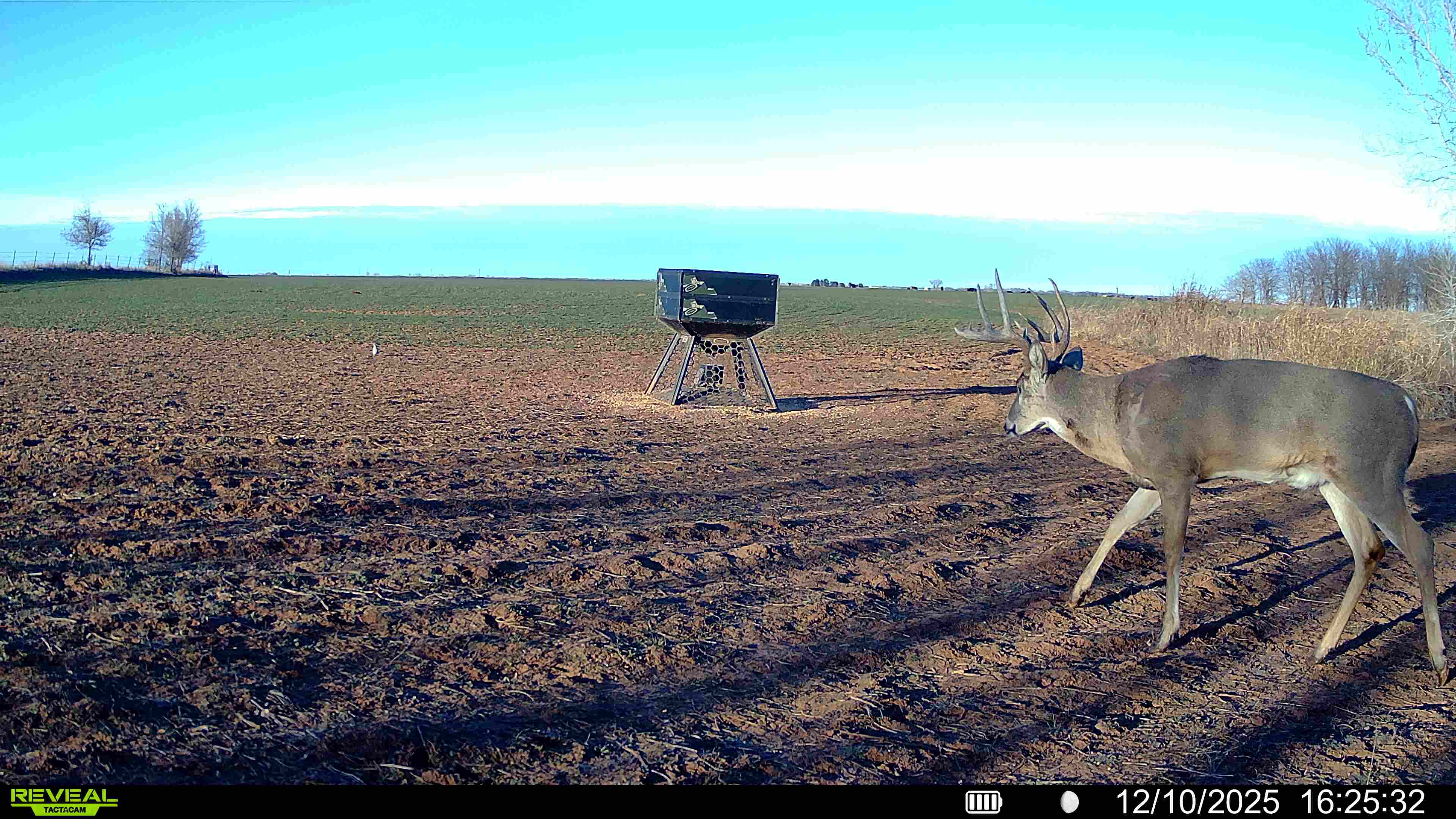 750lbs -  Orion Modular Stand and Fill Deer Feeder